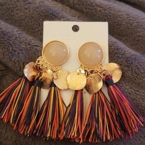 Tassel Earrings Multi-colored tassels